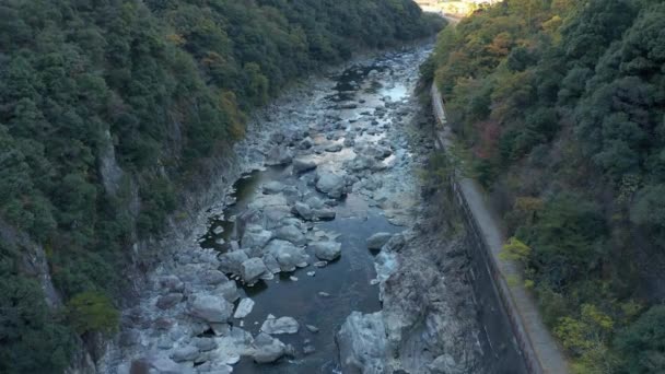 Vista Aérea Caminhada Ferroviária Abandonada Fukuchiyama Manhã Cedo Outono — Vídeo de Stock