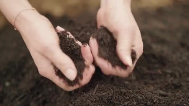 Qualité Analyse Des Mains Sol Compost Fini — Video