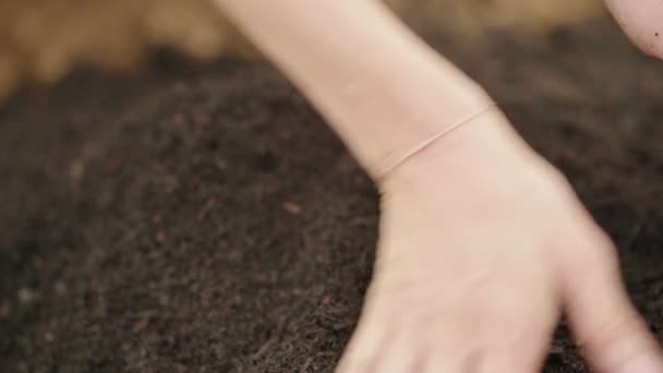 Handen Testkwaliteit Van Afgewerkte Compostgrond — Stockvideo