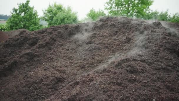 Wheel Loader Grouts Big Compost Heap Its Shovel Close — Stock Video