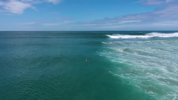 4K青い海の波でサーフィンする人々のドローンショット サーフィンの海のライフスタイル 極端なスポーツ — ストック動画
