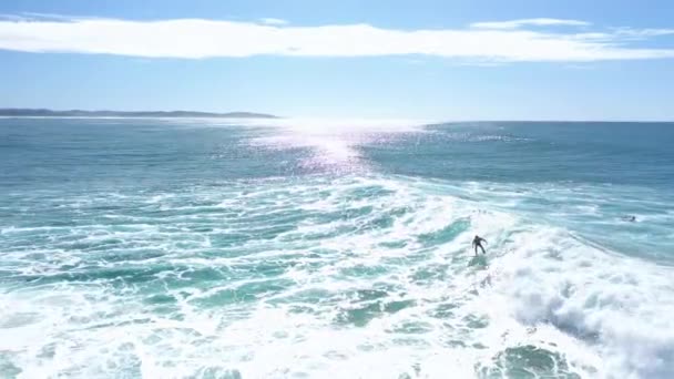 Flygfoto Cool Surfare Rista Blå Kristallklar Våg Australien Solig Dag — Stockvideo