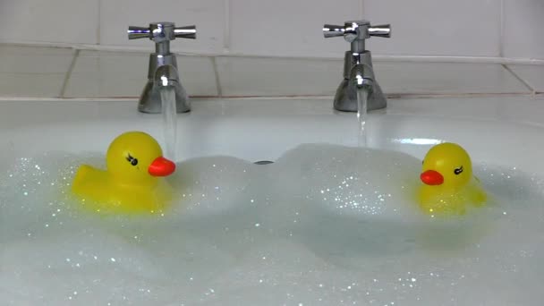 Deux Canards Plastique Montent Descendent Dans Bain Mousseux — Video