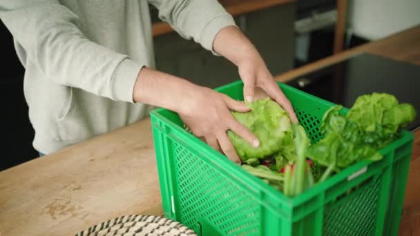 Manos Poniendo Una Cabeza Lechuga Una Caja Una Tabla Cortar — Vídeo de stock