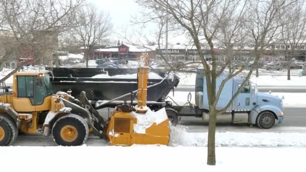 Služba Čištění Sněhu Ulicích Montrealu Kolový Nakladač Nakládá Sníh Náklaďáku — Stock video