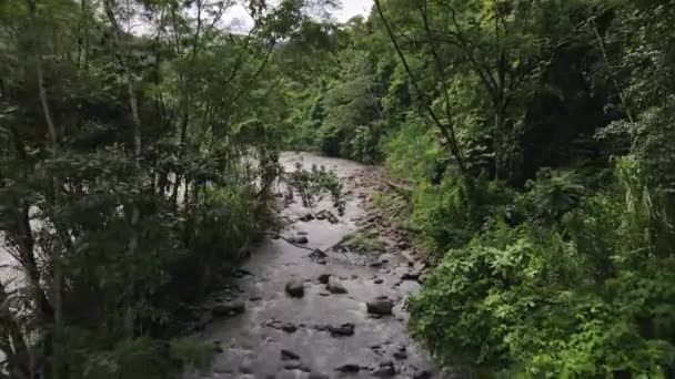 Дрони Які Летять Через Густий Дощовий Ліс Вздовж Берега Річки — стокове відео