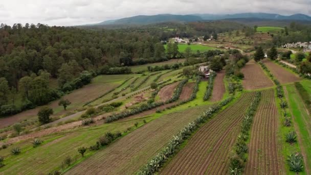 Vol Aérien Dessus Ferme Agricole Rurale Luciernagas Mexique Par Temps — Video