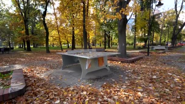 Изолированный Стол Общественном Парке Окружении Опавших Осенних Листьев Варшава — стоковое видео