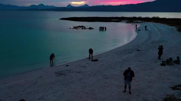 Dolly Aerea Persone Piedi Sulla Spiaggia Crepuscolo — Video Stock