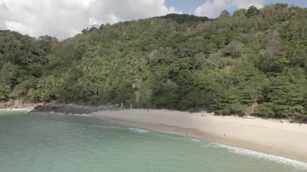 Sentiero Forestale Fino Alla Spiaggia — Video Stock