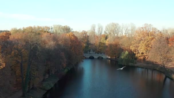 Air View John Iii Sobieski Monument Azienki Park Lake Bridge — Stock Video