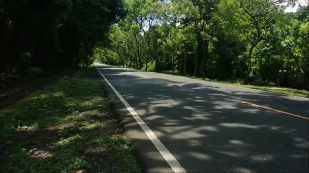 Ruch Pojazdów Autostradzie Która Przechodzi Przez Park Narodowy West Bali — Wideo stockowe