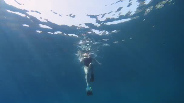 Snorkeler Nuoto Nel Mar Ionio Mirtos Beach Cefalonia Grecia Sott — Video Stock