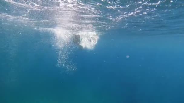 View Snorkeler Swimming Benunder Sea Surface Kefalonia Island Greece Podvodní — Stock video