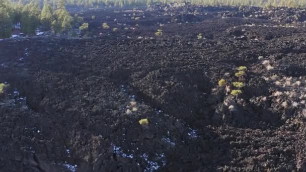 Drönarflygning Över Ofruktbart Slöseri Med Gamla Lavafält Vid Sunset Crater — Stockvideo