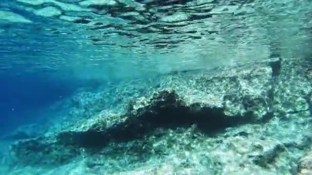 Сценічний Вид Іонійський Морський Риф Кефалонії Греція Снорклер Під Водою — стокове відео