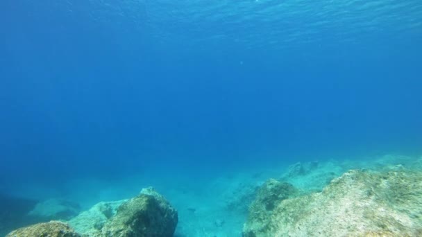 Rayos Luz Solar Debajo Superficie Del Mar Con Agua Azul — Vídeo de stock