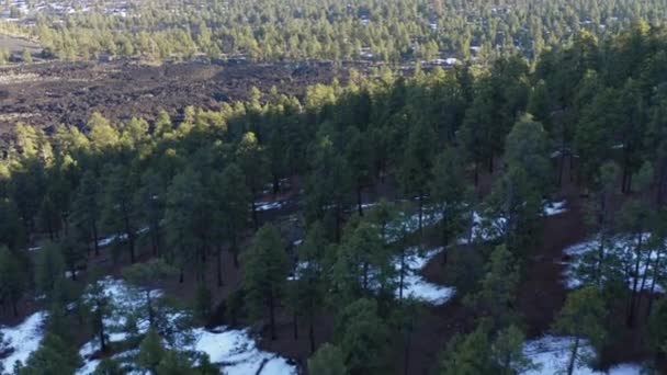 Vista Aves Del Árido Árido Campo Lava Medio Vegetación Verde — Vídeo de stock