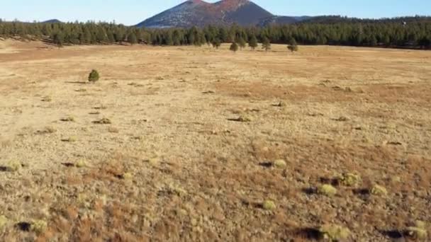 険しいシンダーコーン火山溶岩山の周りに乾燥した荒廃した土地 アリゾナ州サンセットクレーター — ストック動画