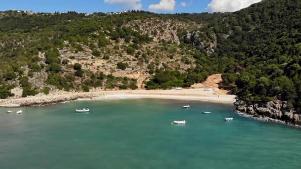 Végétation Luxuriante Entourant Plage Jérusalem Erisos Grèce Tir Aérien Par — Video