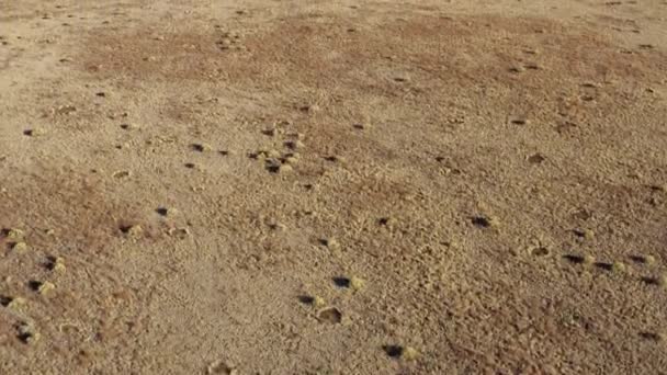 Voo Drone Sobre Terra Seca Deserta Levando Íngreme Montanha Lava — Vídeo de Stock