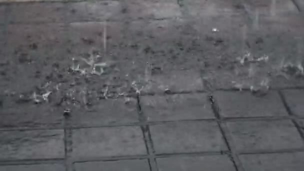 Rain Splash Ground Floods Due Heavy Rain Wet Season Autumn — Wideo stockowe