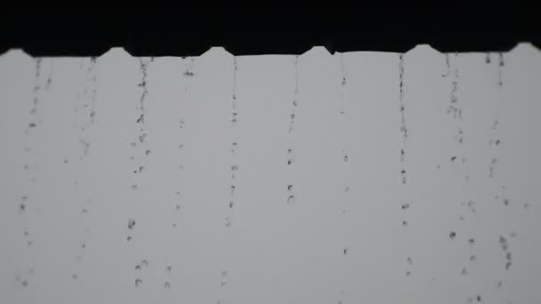 Rainwater Dripping Roof Downpour Countryside Humid Climate Raindrops Falling Wooden — Stock Video
