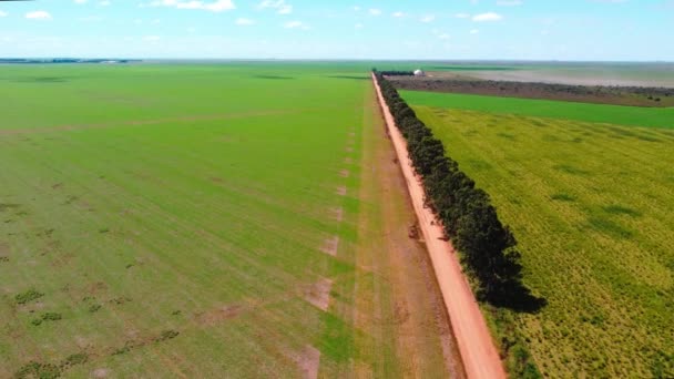 Plantacje Soi Dużą Skalę Brazylii Pomiędzy Drogą Widok Dronów Gospodarstw — Wideo stockowe