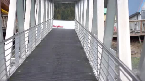 走在一座大桥上 — 图库视频影像