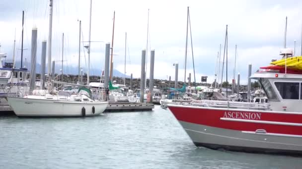 小さな船が港を通り過ぎ — ストック動画