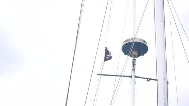 Drapeau Pirate Soufflant Dans Vent — Video