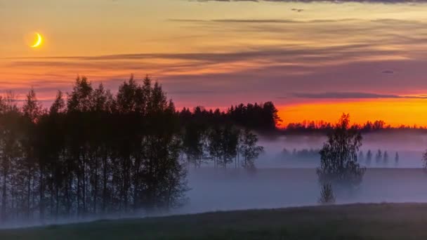 日の出時に霧深い森の風景の後ろに設定三日月のタイムラプスショット 神秘的な風景の5Kショット — ストック動画