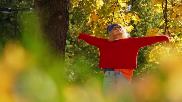 公園の秋の間 若い女性は木の下で腕を伸ばします — ストック動画
