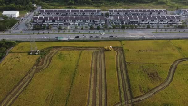 空中ビュー収穫機は住宅地近くの水田を収獲する — ストック動画