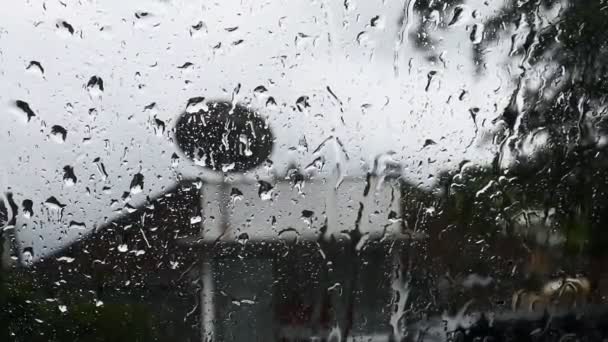 Gotas Lluvia Mojan Parabrisas Rocío Agua Videos — Vídeo de stock