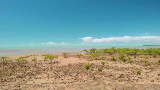 オーストラリアのクイーンズランド州クレアビューの木々 ビーチ 浅い水の上の空中ドローンビュー — ストック動画