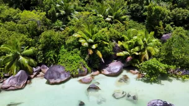 Seychely Digue Šnorchlování Marine Park5 Mp4 — Stock video
