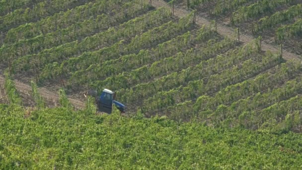 Zemědělské Zařízení Pracující Pěstování Hnojivy Pesticidy Traktorové Stroje Práce Vinohradnictví — Stock video