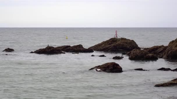 Warnmarkierung Auf Einigen Felsen Rande Der Looe Mündung Looe Cornwall — Stockvideo