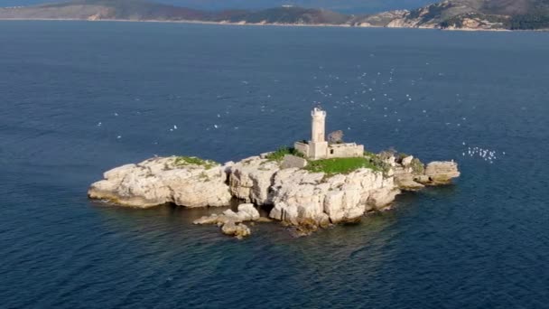 Drohne Schöne Ansicht Des Leuchtturms Mit Möwen Korfu Griechenland — Stockvideo