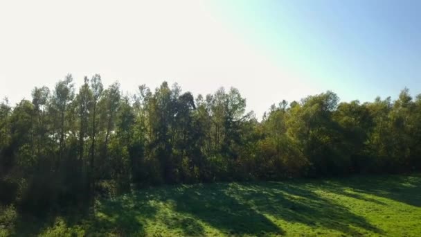 Drohnen Ansicht Des Vorwärtsfliegens Den Wald Und Der Enthüllung Des — Stockvideo