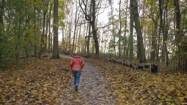 Жінка Середнього Віку Насолоджується Післяобідньою Прогулянкою Осінньому Парку Йде Жовтому — стокове відео