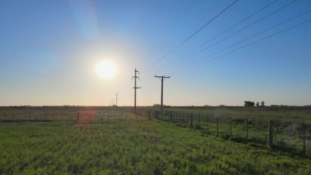 Établissement Drone Tir Volant Travers Les Prairies Ouvertes Long Clôture — Video