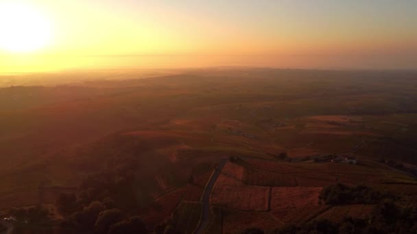 Sonnenuntergang Oder Sonnenaufgang Über Den Weinbergen Von Villefranche Sur Soane — Stockvideo