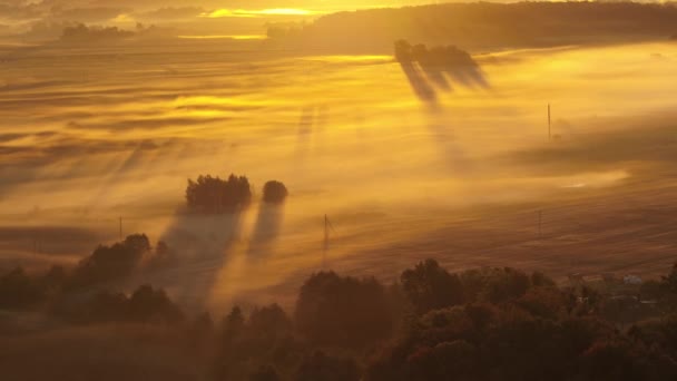 リトアニアのカウナス郡霧の秋の朝のドローン航空ビュー — ストック動画