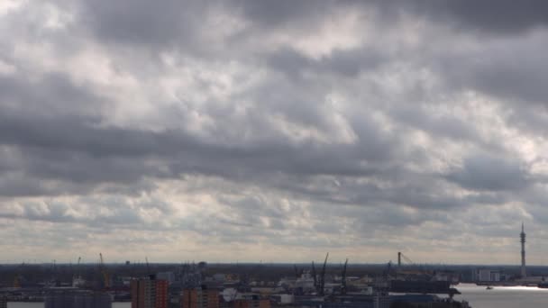 Amplia Toma Puerto Rotterdam Día Nublado Otoño — Vídeo de stock