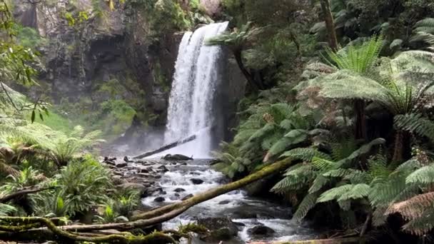 Otway Ulusal Parkı Avustralya Yemyeşil Bitkiler Eğreltiotlarıyla Çevrili Bir Şelale — Stok video
