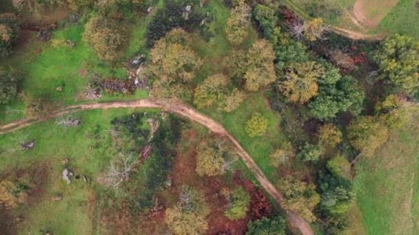 秋の風景の中の栗の木 空中螺旋状のトップダウン Zoom — ストック動画