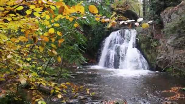Una Hermosa Cascada Otoñal Fairy Glen Falls Escocia Todavía Disparado — Vídeo de stock