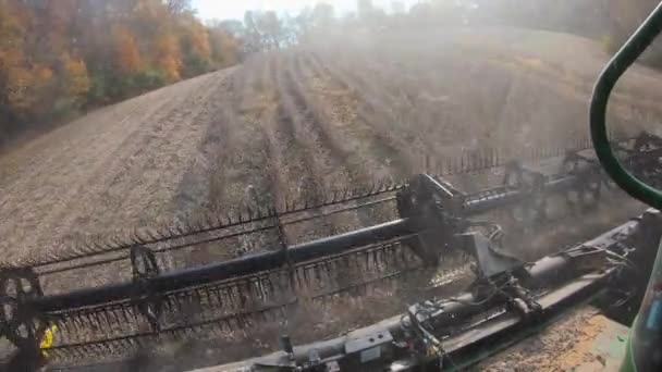 일리노이 서부의 나무들로 둘러싸여 밭에서 수확하기 벨트가 헤더와 결합하여 수확하는 — 비디오